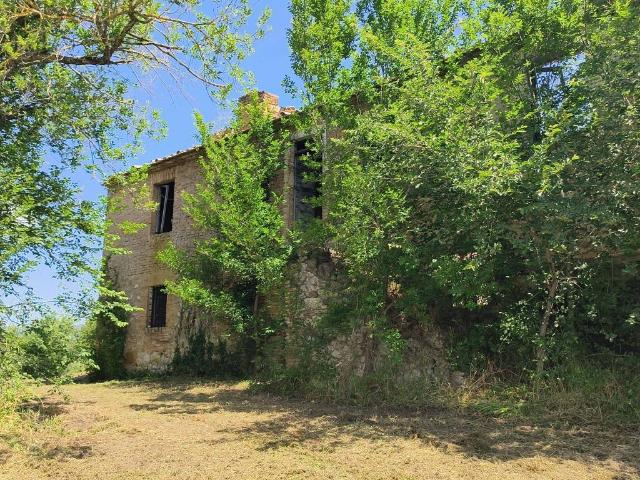Rustico / Casale in vendita a Calvi dell'Umbria TR