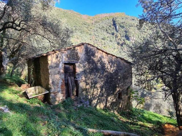 Rustico / Casale in vendita a Camaiore LU
