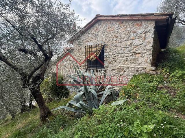 Rustico / Casale in vendita a Camaiore LU