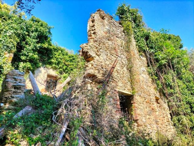 Rustico / Casale in vendita a Camaiore LU