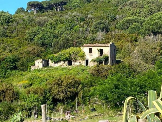 Rustico / Casale in vendita a Campo nell'Elba LI