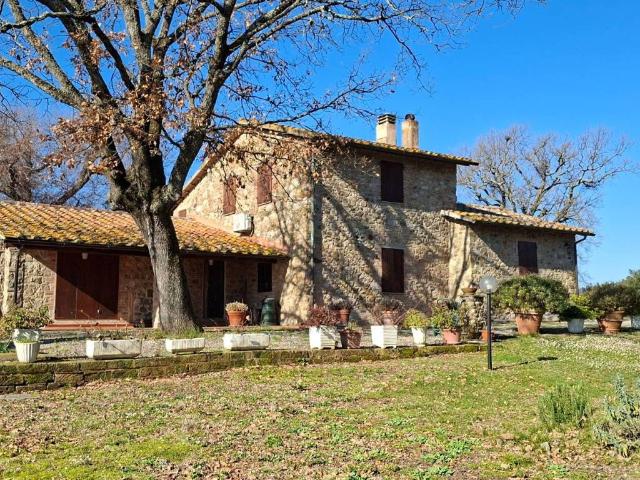 Rustico / Casale in vendita a Campagnatico GR