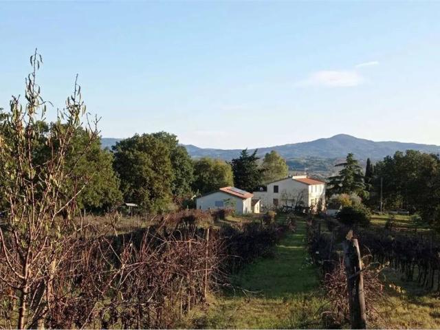 Rustico / Casale in vendita a Campagnatico GR