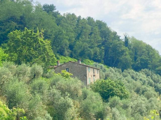 Rustico / Casale in vendita a Capannori LU