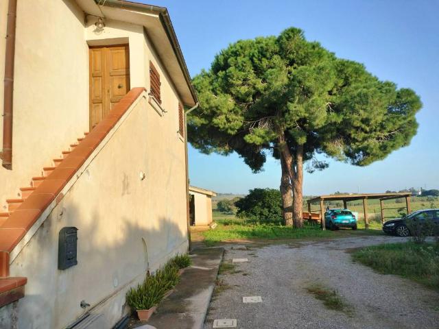 Rustico / Casale in vendita a Capalbio GR