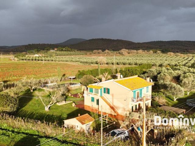 Rustico / Casale in vendita a Capalbio GR
