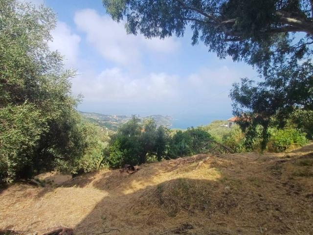 Rustico / Casale in vendita a Capo d'Orlando ME