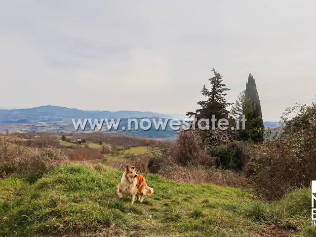 Rustico / Casale in vendita a Caprese Michelangelo AR