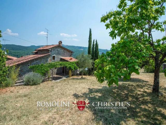 Rustico / Casale in vendita a Caprese Michelangelo AR