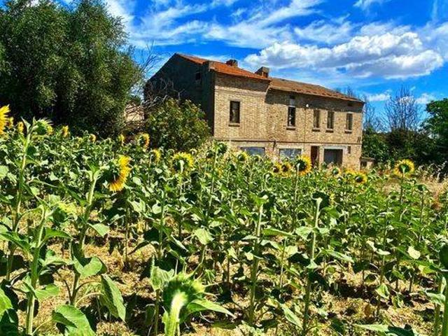 Rustico / Casale in vendita a Carassai AP