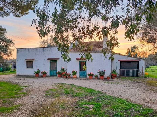 Rustico / Casale in vendita a Carovigno BR