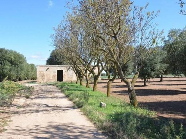 Rustico / Casale in vendita a Carovigno BR