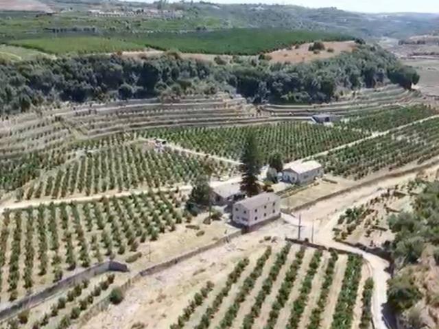 Rustico / Casale in vendita a Carlentini SR