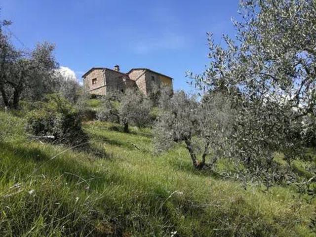 Rustico / Casale in vendita a Carmignano PO