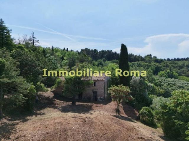 Rustico / Casale in vendita a Cartoceto PU