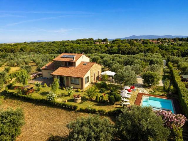 Rustico / Casale in vendita a Casale Marittimo PI