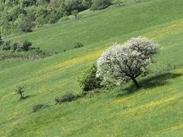 Rustico / Casale in vendita a Casina RE