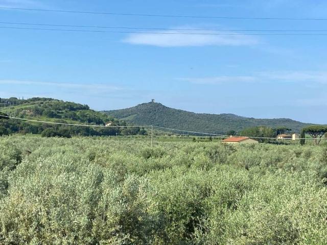 Rustico / Casale in vendita a Castagneto Carducci LI