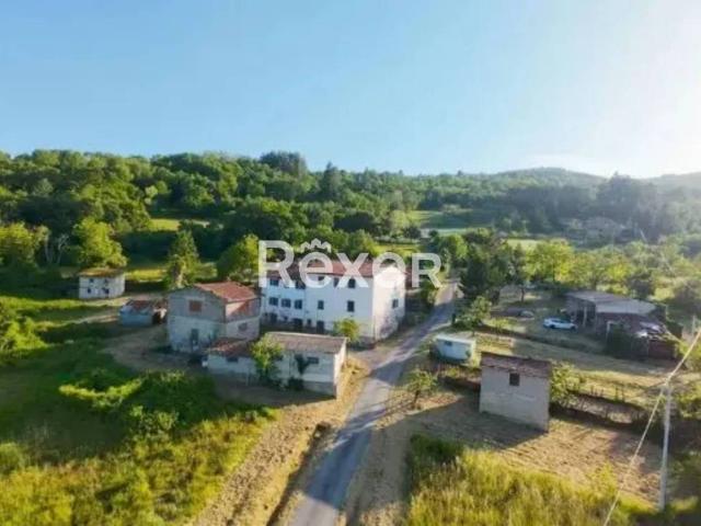 Rustico / Casale in vendita a Castel San Niccolò AR