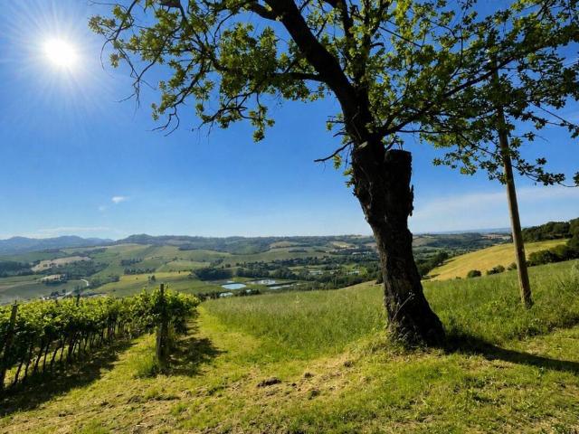 Rustico / Casale in vendita a Castel San Pietro Terme BO