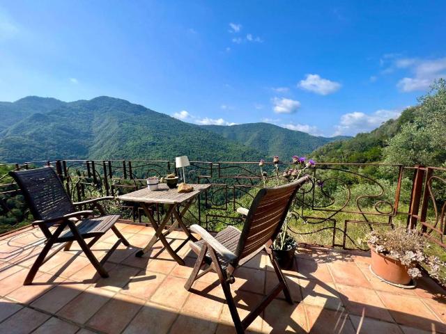 Rustico / Casale in vendita a Castel Vittorio IM