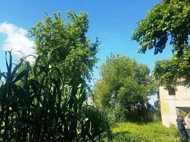 Rustico / Casale in vendita a Castelfidardo AN