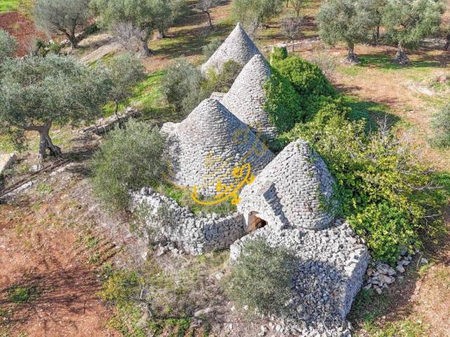 Rustico / Casale in vendita a Castellana Grotte BA