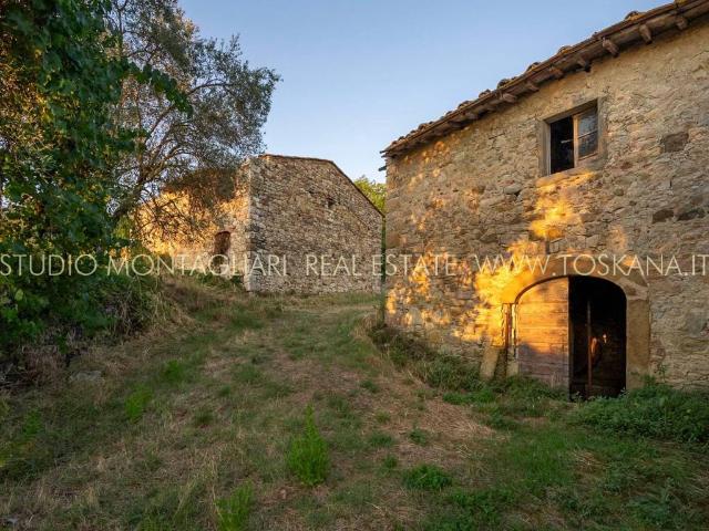 Rustico / Casale in vendita a Castellina in Chianti SI