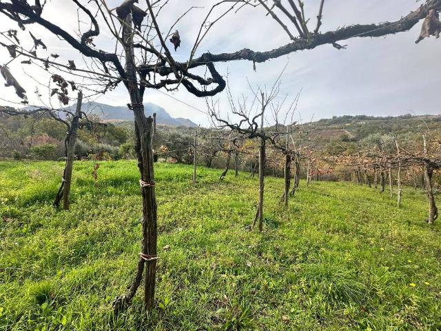 Rustico / Casale in vendita a Castelvetere sul Calore AV