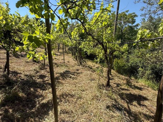 Rustico / Casale in vendita a Castelvetere sul Calore AV