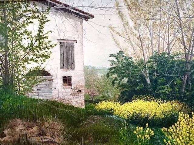 Rustico / Casale in vendita a Castelvetro di Modena MO