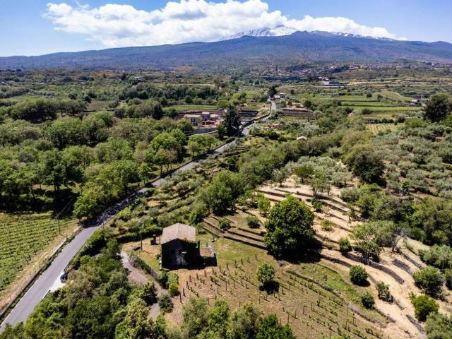 Rustico / Casale in vendita a Castiglione di Sicilia CT