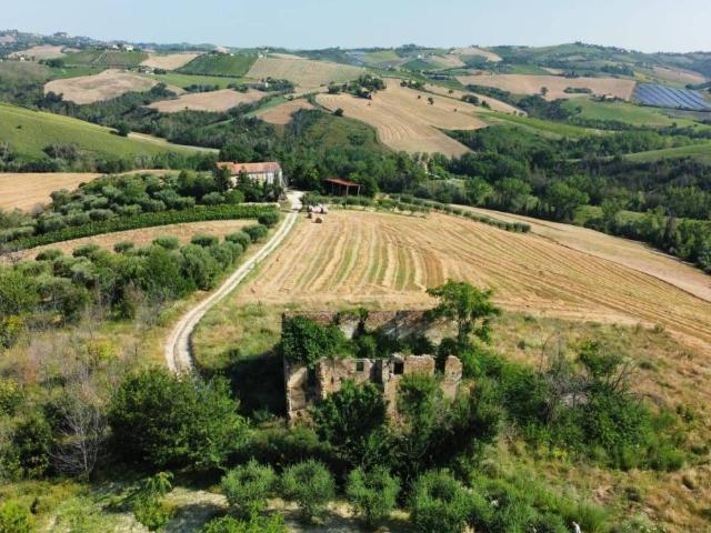 Rustico / Casale in vendita a Castignano AP