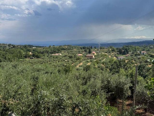Rustico / Casale in vendita a Castrovillari CS
