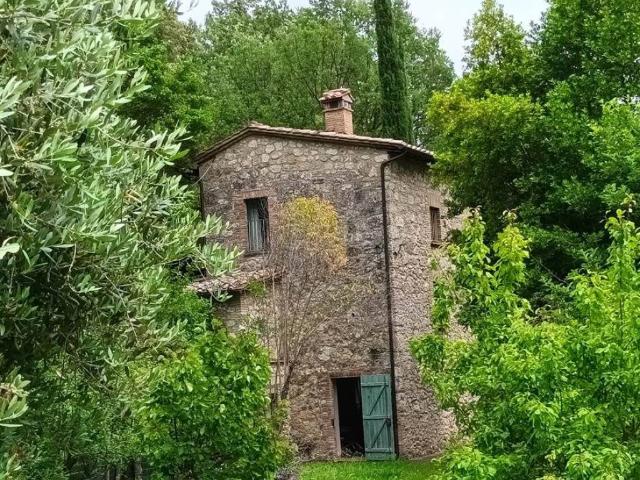 Rustico / Casale in vendita a Cetona SI
