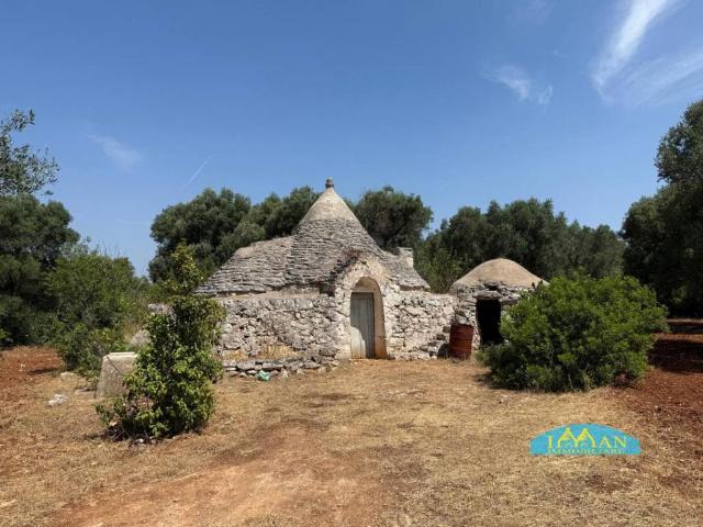 Rustico / Casale in vendita a Ceglie Messapica BR