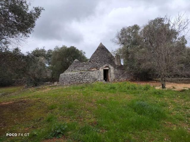 Rustico / Casale in vendita a Ceglie Messapica BR