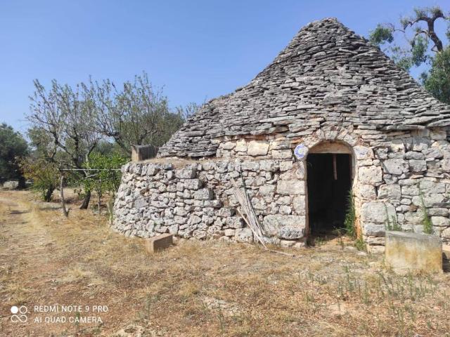 Rustico / Casale in vendita a Ceglie Messapica BR