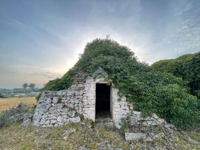 Rustico / Casale in vendita a Ceglie Messapica BR