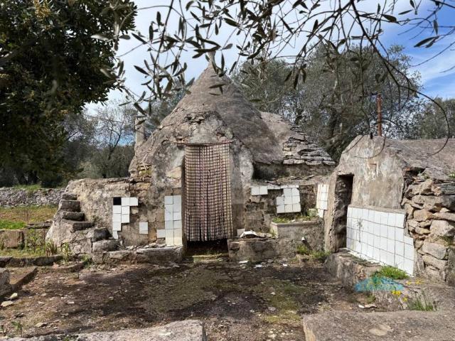 Rustico / Casale in vendita a Ceglie Messapica BR
