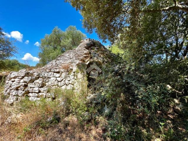 Rustico / Casale in vendita a Ceglie Messapica BR