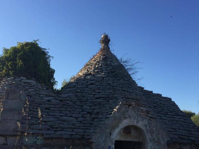 Rustico / Casale in vendita a Ceglie Messapica BR