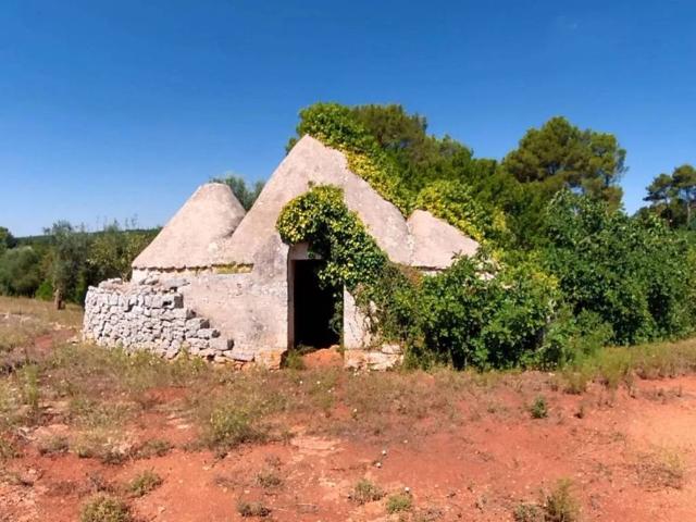 Rustico / Casale in vendita a Ceglie Messapica BR