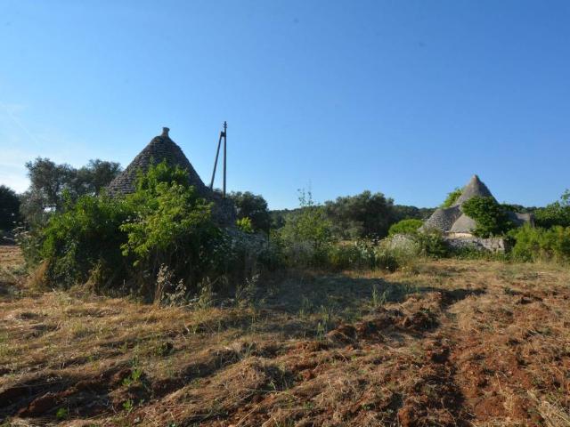 Rustico / Casale in vendita a Ceglie Messapica BR