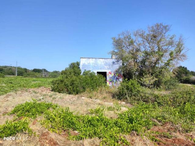 Rustico / Casale in vendita a Ceglie Messapica BR