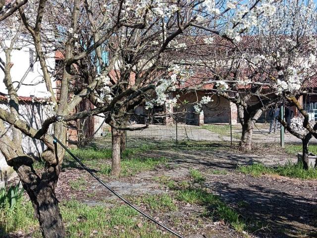 Rustico / Casale in vendita a Cerano NO