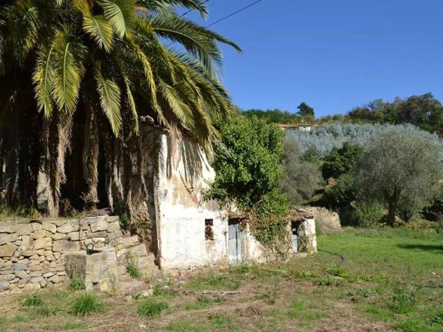 Rustico / Casale in vendita a Ceriana IM