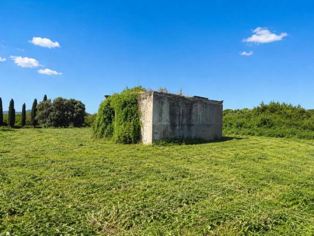 Rustico / Casale in vendita a Cerveteri RM