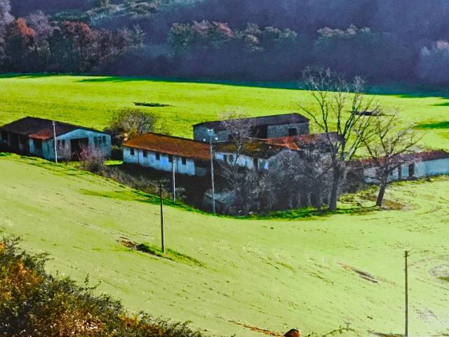 Rustico / Casale in vendita a Cerveteri RM