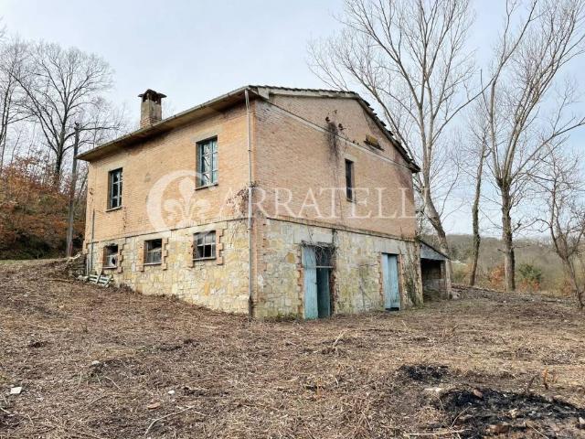 Rustico / Casale in vendita a Chiusi SI